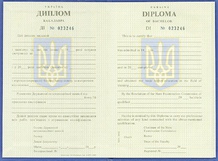 Диплом для иностранцев 1996-2000